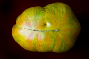 (Photo/Julie Denesha) Berkley Tie Dye