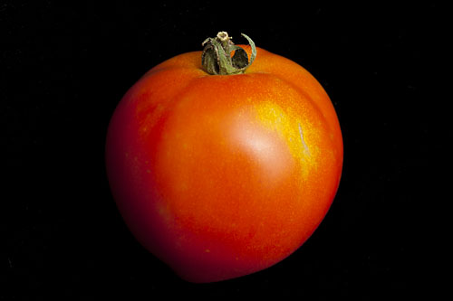 Early Girl, Tomato Town, First Tomato,