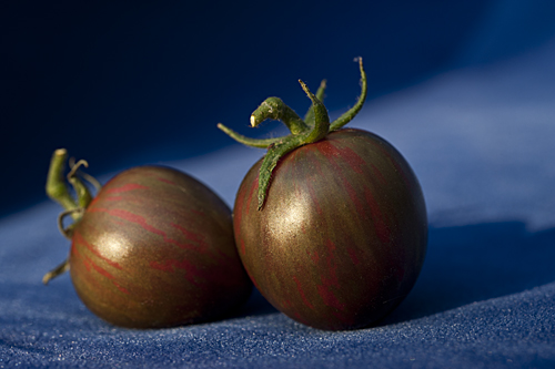 Violet Jasper, heirloom tomatoes, purplish red and green stripes